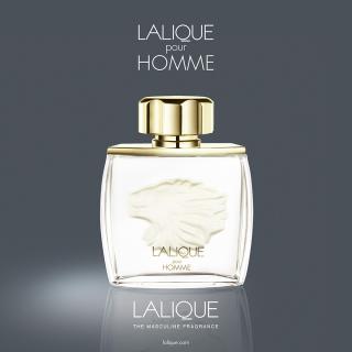 Lalique Lalique Pour Homme